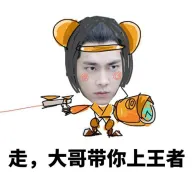 走，大哥带你上王者
