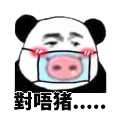 對唔猪