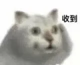 收到