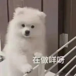 在做咩呀