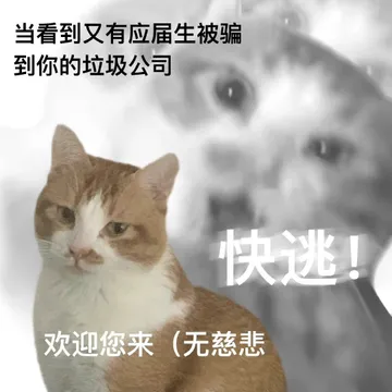 当看到又有应届生被骗到你的垃圾公司快逃欢迎您来(无慈悲