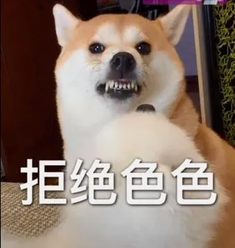 不可以色色表情包-可以色色（柴犬）