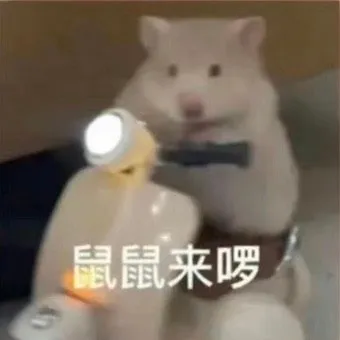 鼠鼠来啰