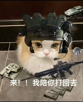 你有哪些好玩的《三角洲行动》表情包?
