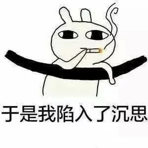于是我陷入了沉思
