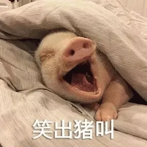 笑出猪叫(小猪)