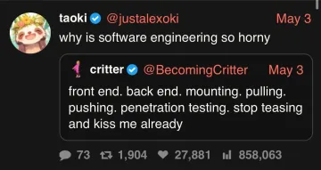 Why Is Software Engineering So Horny