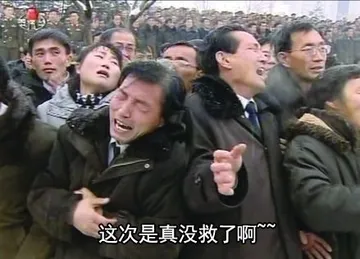 这次是真没救了啊