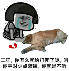 二狂，你怎么就给打死了呢，叫你平时少点装逼，你就是不听