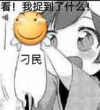 看！我捉到了什么！刁民！