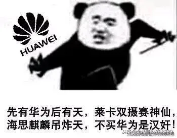 先有华为后有天.莱卡双摄赛神仙.海思麒麟吊炸天.不买华为是汉奸!