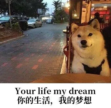 Your life my dream你的生活，我的梦想