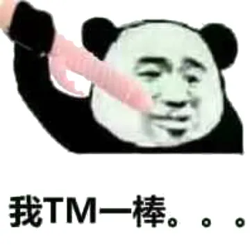 我TM一棒。。。（震动棒）
