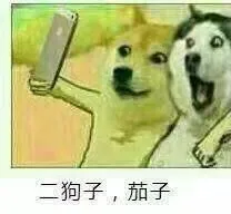 二狗子，茄子