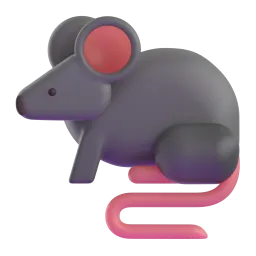 Rat