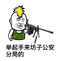 举起手来坊子公安分局的