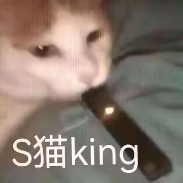 S猫King