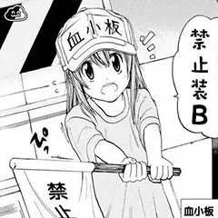 禁止装B(血小板)