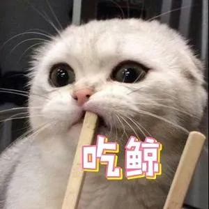 屹鲸
