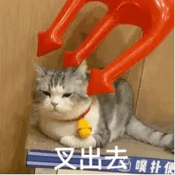 叉出去 猫咪表情包（孙一宁王思聪聊天表情包）