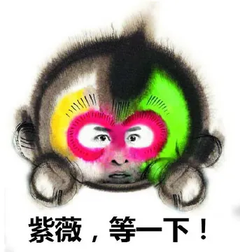 紫薇，等一下！（尔康）