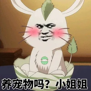 养宠物吗
