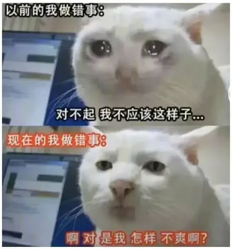 猫咪：以前的我做错事VS现在的我做错事！