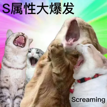 S属性大爆发Screaming