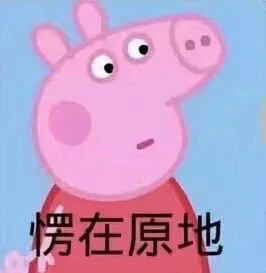 佩奇8