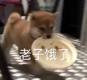 老子饿了（汪星人表情包） - 近期斗图表情包精选-2020-8-24