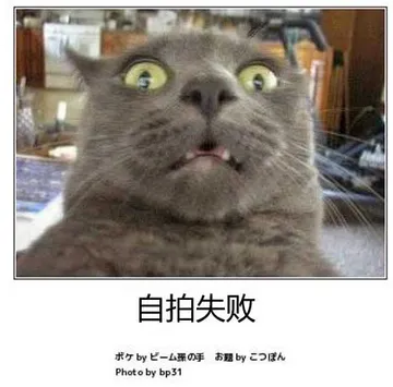 自拍失败