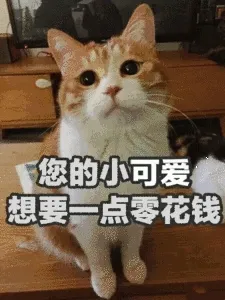 飞您的小可爱想要一点零花钱