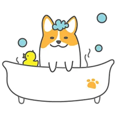 洗澡澡