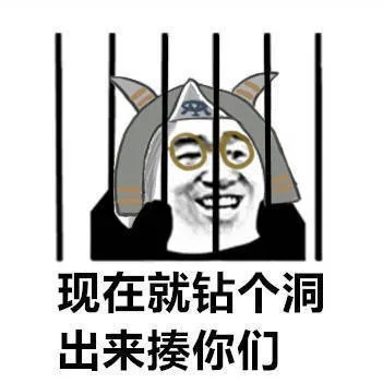 现在就钻个洞，出来捧你们