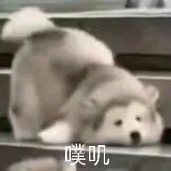 噗叽