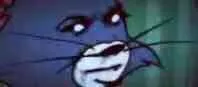 TOM猫