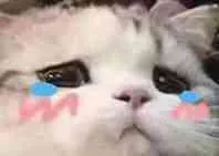委屈