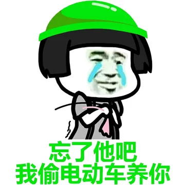 忘了他吧，我偷电动车养你
