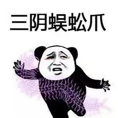 三阴蜈蚣爪!