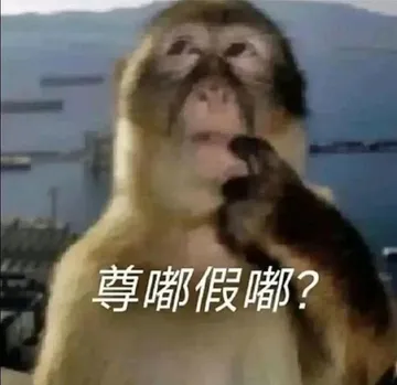 尊嘟假嘟？