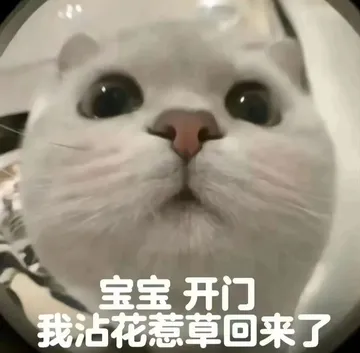 宝宝开门我沾花惹草回来了