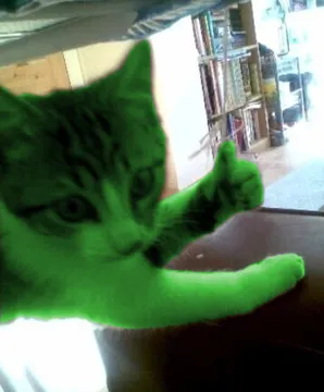 thumbs up RayCat