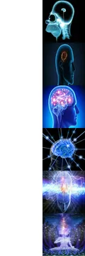 Expanding Brain