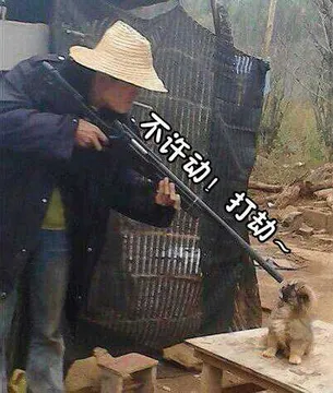 不许动.打劫!(猴子)