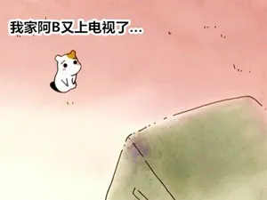 我家阿B又上电视了。。。