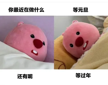你最近在做什么等元旦还有呢等过年