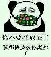 你不要在放屁了，我都快要被你熏死了（熊猫金馆长表情）