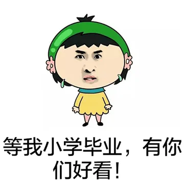等我小学毕业，有你们好看！
