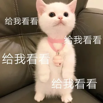 给我看看给我看看给我看看给我看看