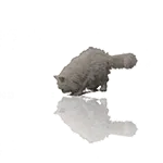 猫咪表情包